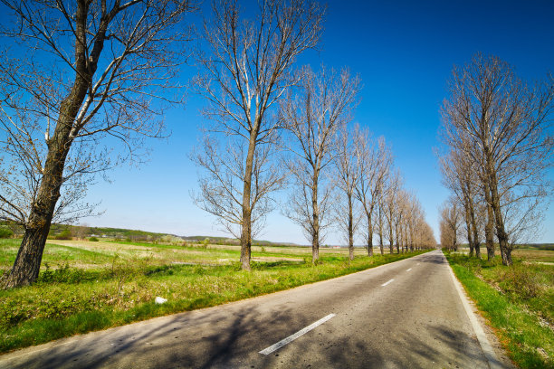穿过树林的空旷道路图片下载