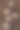 阿拉伯咖啡豆磨碎咖啡图片下载