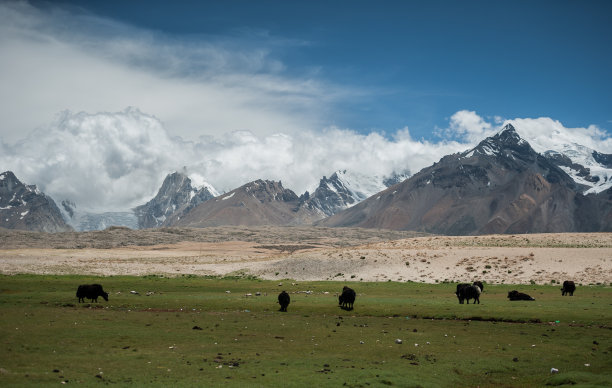 西藏的风景图片下载