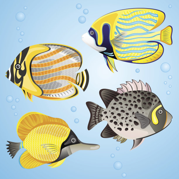 外来鱼组图片下载