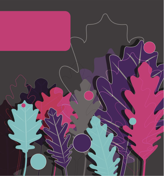 橡树树叶图片下载