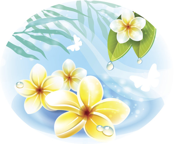 鸡蛋花花在水上图片下载