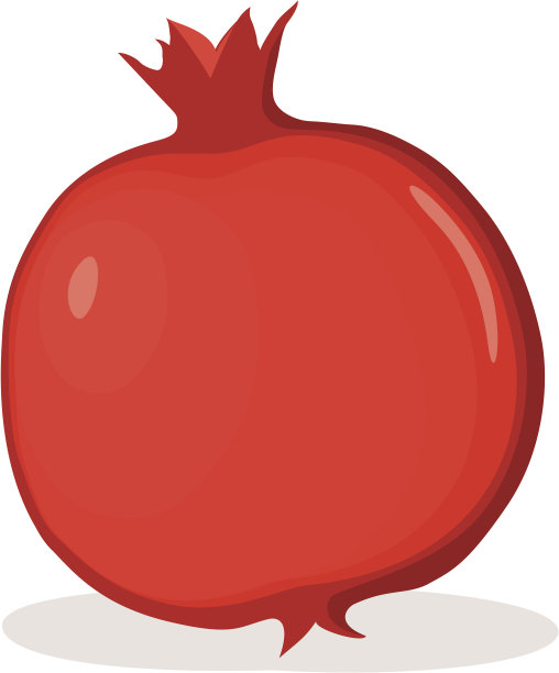 石榴矢量图图片下载