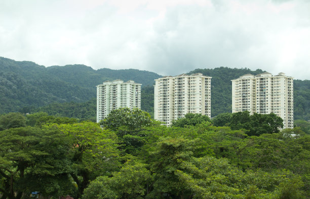 绿色公寓图片下载