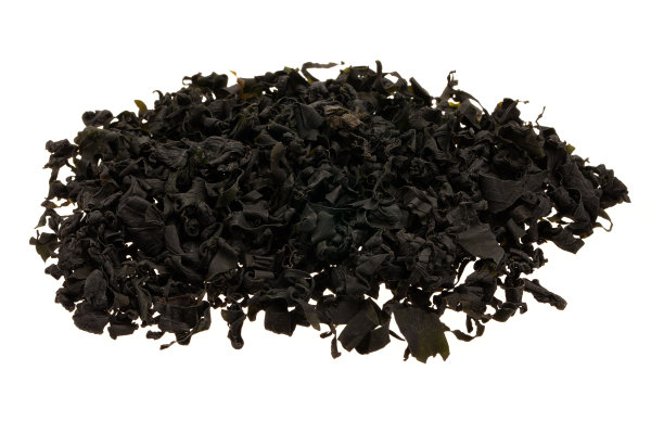 干海草图片下载