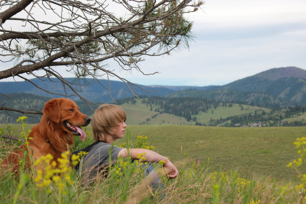 男孩和金毛寻回犬看着远方图片下载