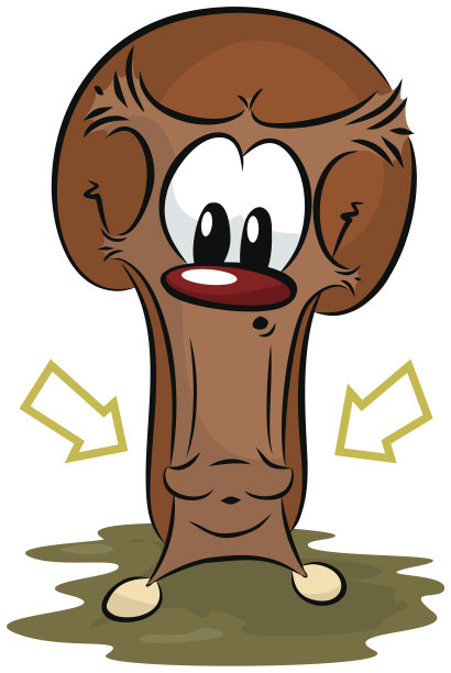 松鼠的口袋素材图片