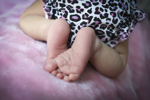 小猎豹图片下载