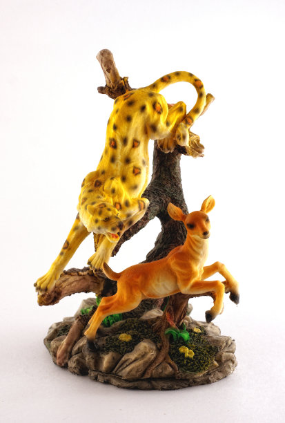 动物的数据图片下载