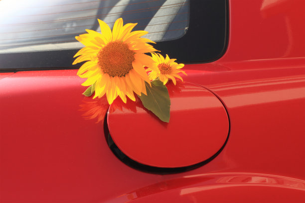 生物燃料图片下载