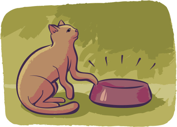 饥饿的猫图片下载