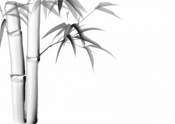 水彩画的竹子图片下载