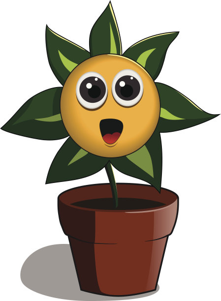 可爱的盆花图片下载