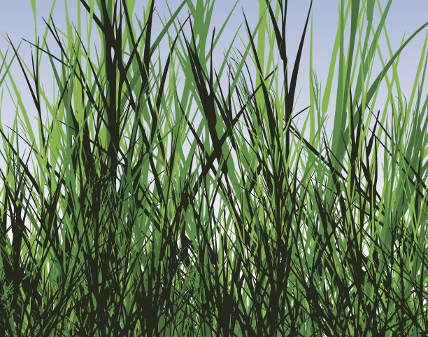 草丛林图片下载