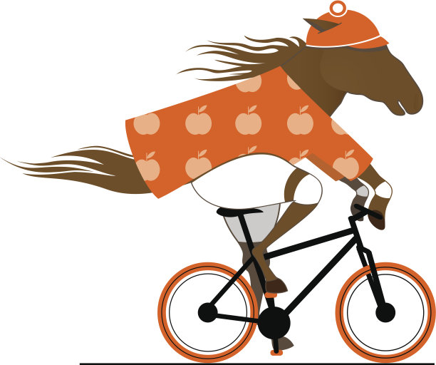 骑自行车的斑纹马。图片下载
