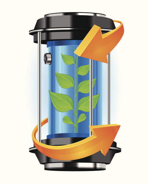 带植物的能源容器图片下载