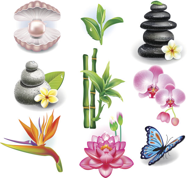 SPA符号组图片下载