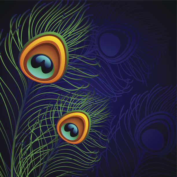 孔雀羽毛图片下载