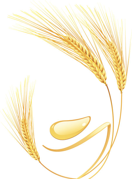 耳朵的小麦素材图片