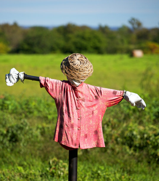 稻草人图片下载