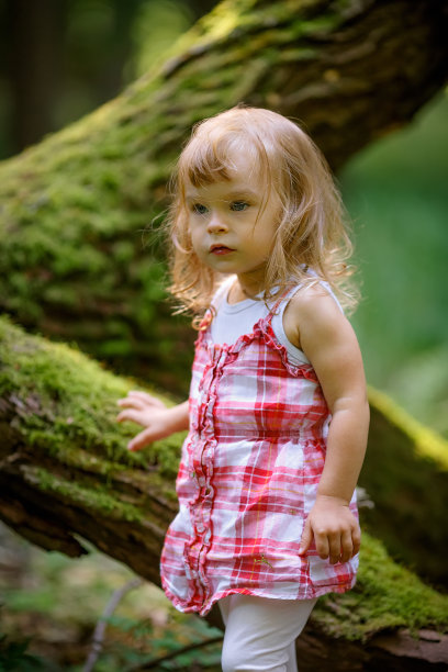 森林里的小女孩图片下载