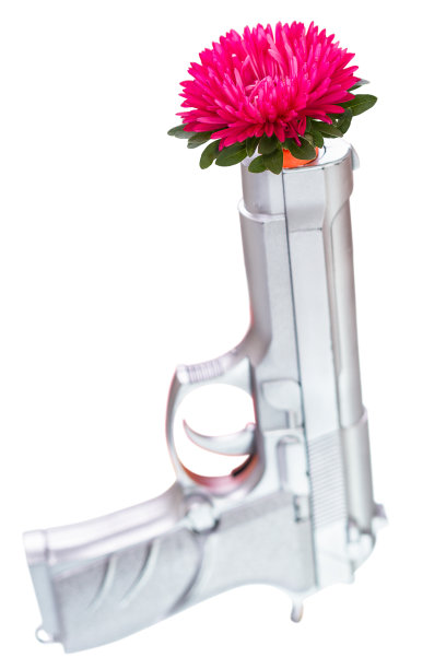 手枪和花图片下载