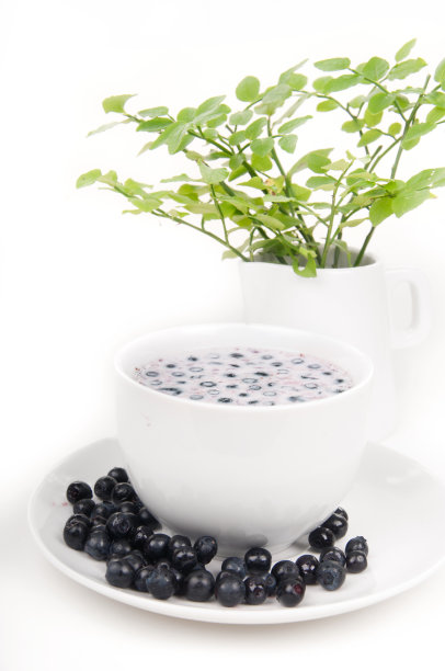 蓝莓coctail图片下载