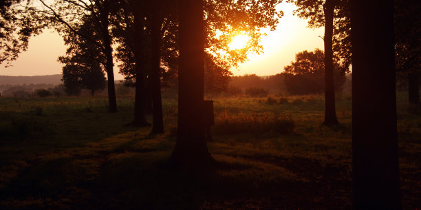 早上轮廓图片下载