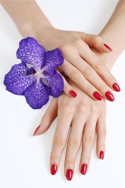 手与粉红色美甲和紫色兰花图片下载