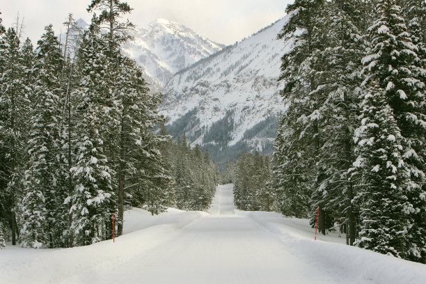 Snowny山路图片下载