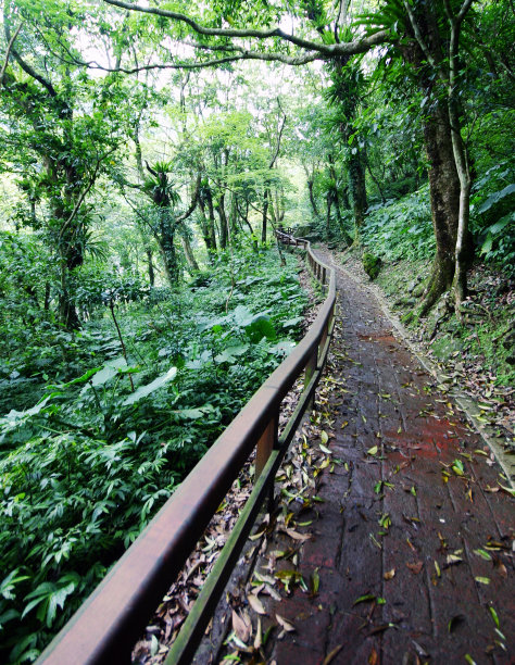 山间小路图片下载