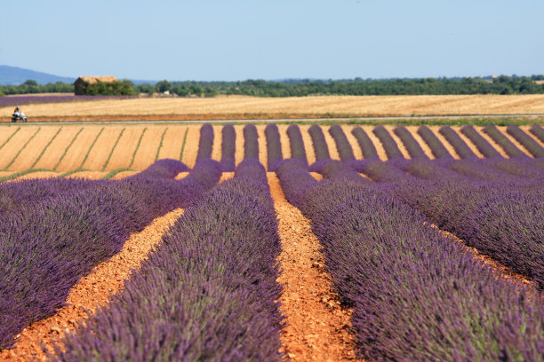 土地与水槽图片下载