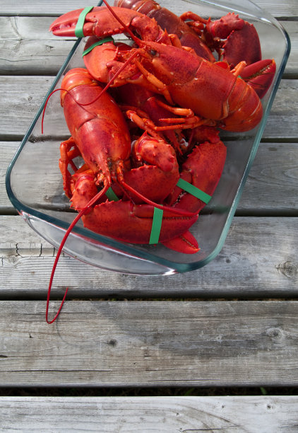 煮熟的龙虾图片下载