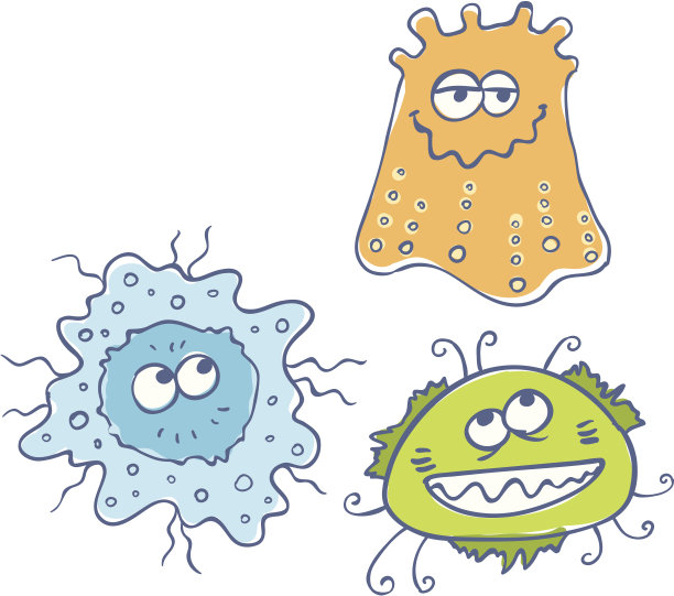 蠕虫和微生物图片下载