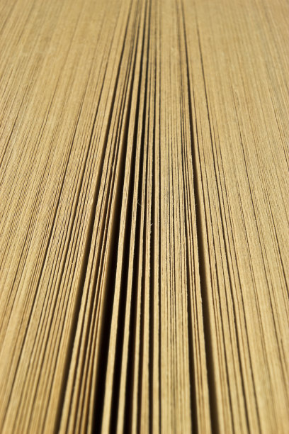 旧书页宏图片下载