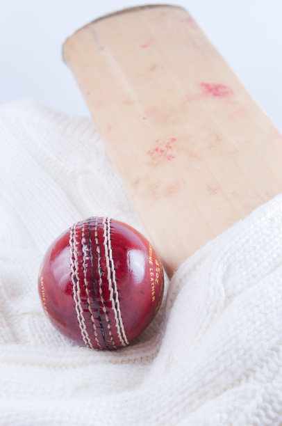 板球和球棒图片下载