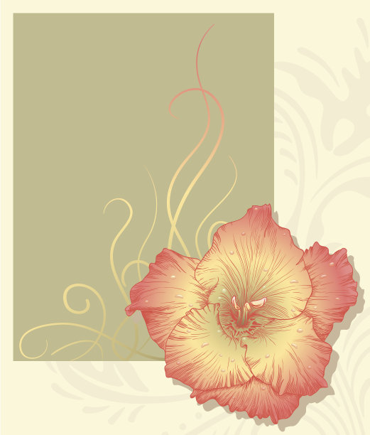 矢量插图与花。图片下载