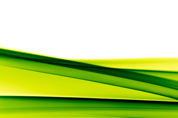 明亮的绿色背景上的白色图片下载