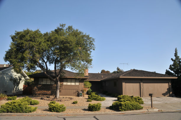 房子,有绿化图片下载