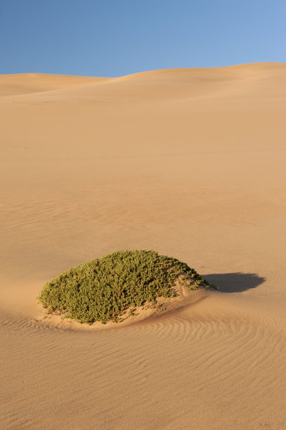 沙丘2图片下载