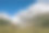瑞士山区的奶牛图片下载