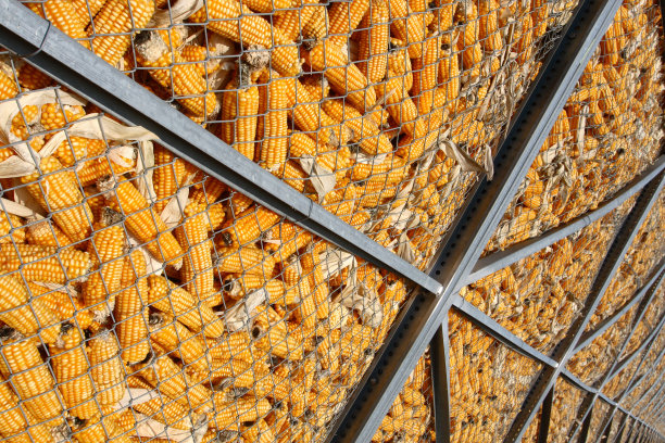 玉米存储笼图片下载