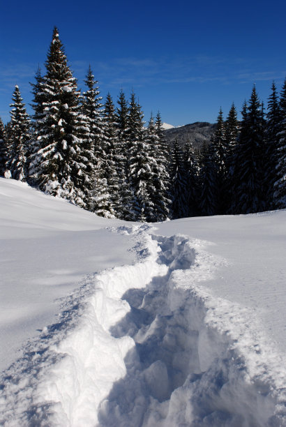 雪中的小径图片下载