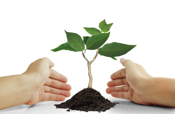 美丽的手图片下载