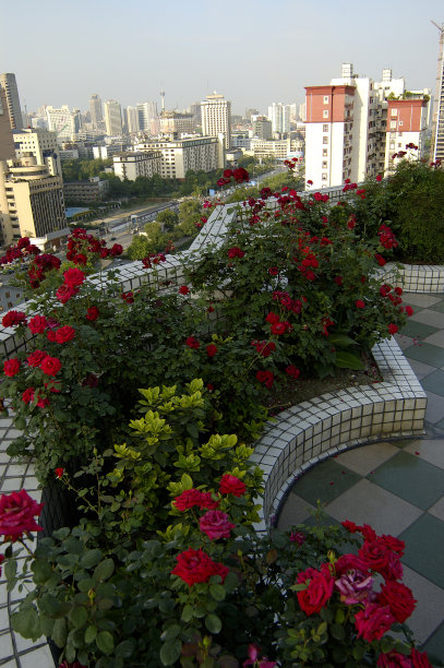 屋顶花园图片下载