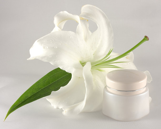 奶油和莉莉图片下载