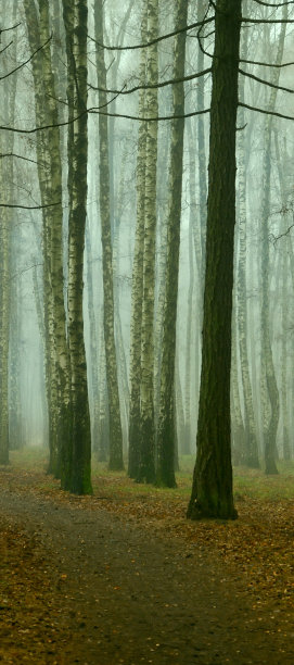 秋天在公园里。图片下载