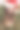 圣诞快乐。图片下载