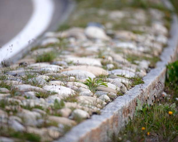 grimmsel -传递-瑞士- 20090612 - 1690图片下载