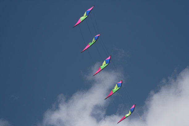 五只风筝映着蓝天图片下载